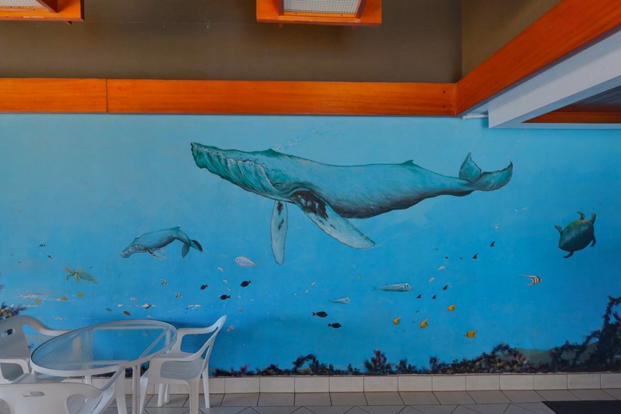 The sea animal mural in the seating area.