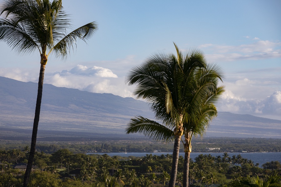 Take in postcard-worthy views of palm trees and distant mountain peaks, perfect for photos or reflection.