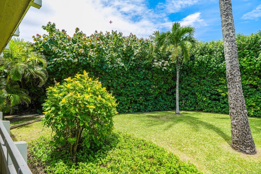 Lush green tropical plants will make your stay more relaxing.