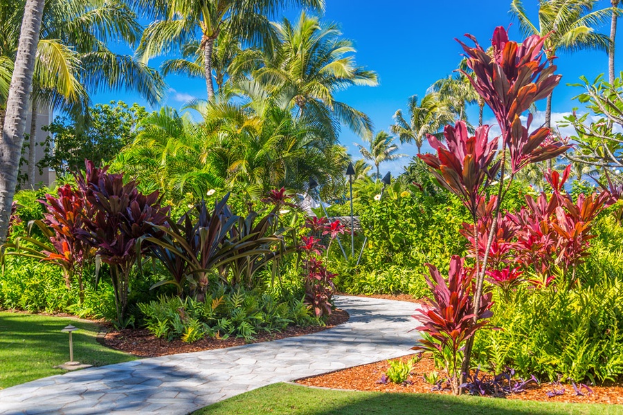 Mature Tropical Landscaping with Ocean Views Abound