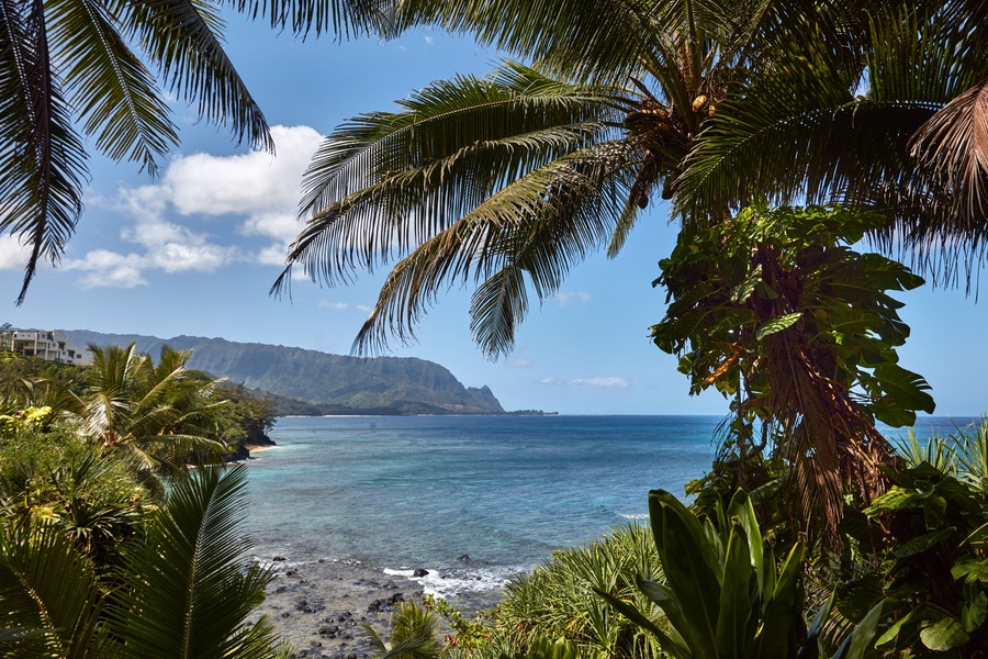 Breathtaking ocean view framed by lush greenery and palm trees.