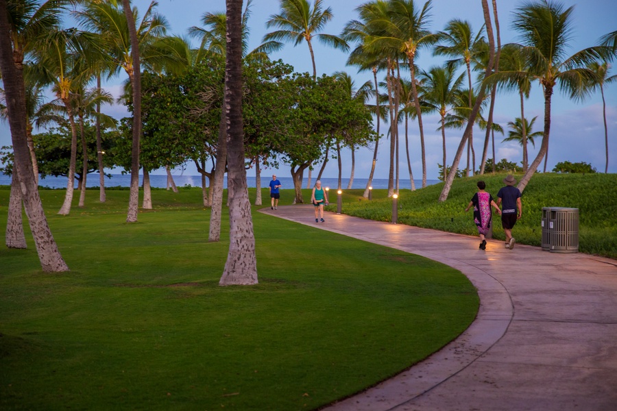 Paved pathway on the resort under swaying palms.