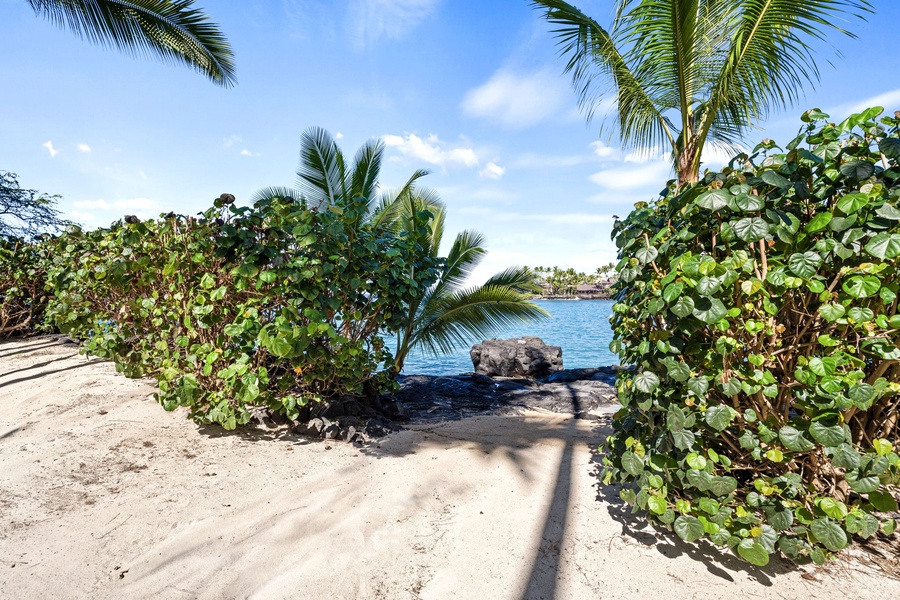 Tropical beach paradise with swaying palms, lush vegetation, and crystal-clear waters framing this pristine coastal setting.