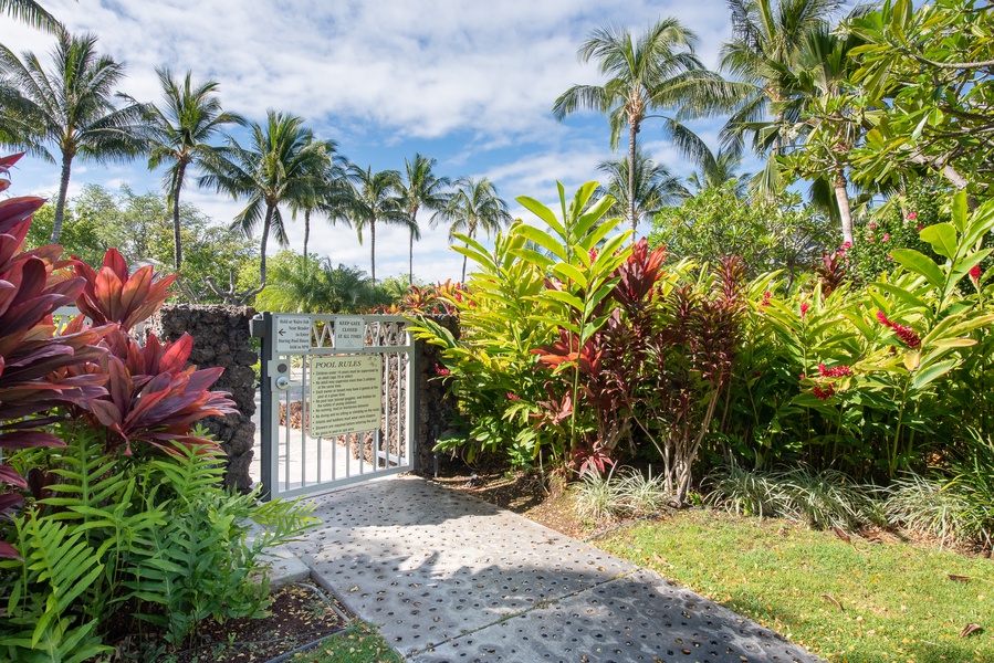 Palm Villas Pool Entrance Surrounded by Lush Foliage