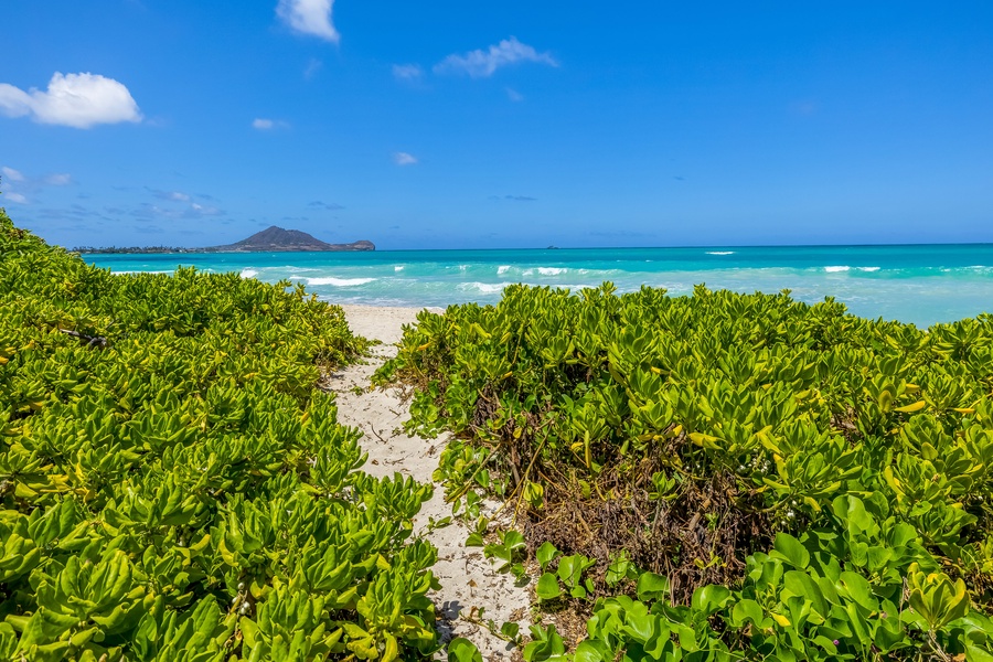 Beach path with turquoise blue beach views