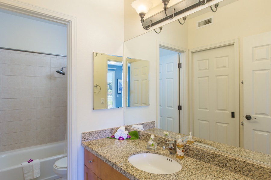 Primary en suite bathroom with walk-in closet to the left.