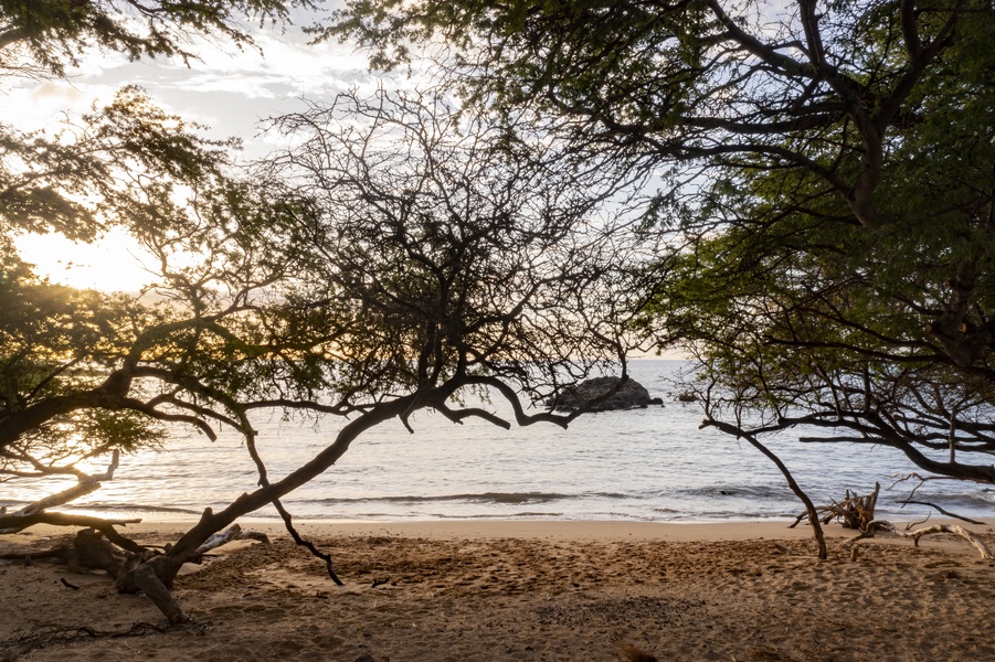 Scenic beachfront view with golden sand, calm waves, and picturesque tree silhouettes.