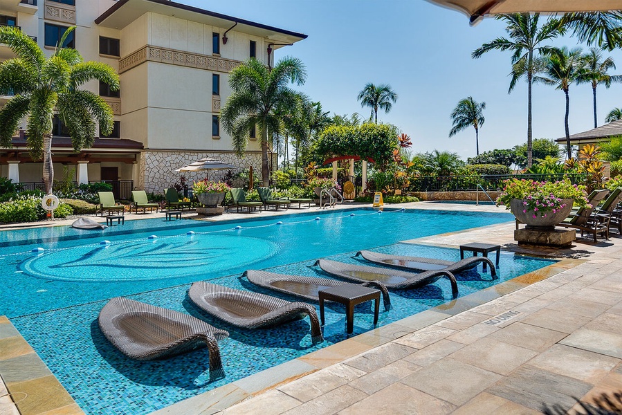 Lap pool with sun loungers.