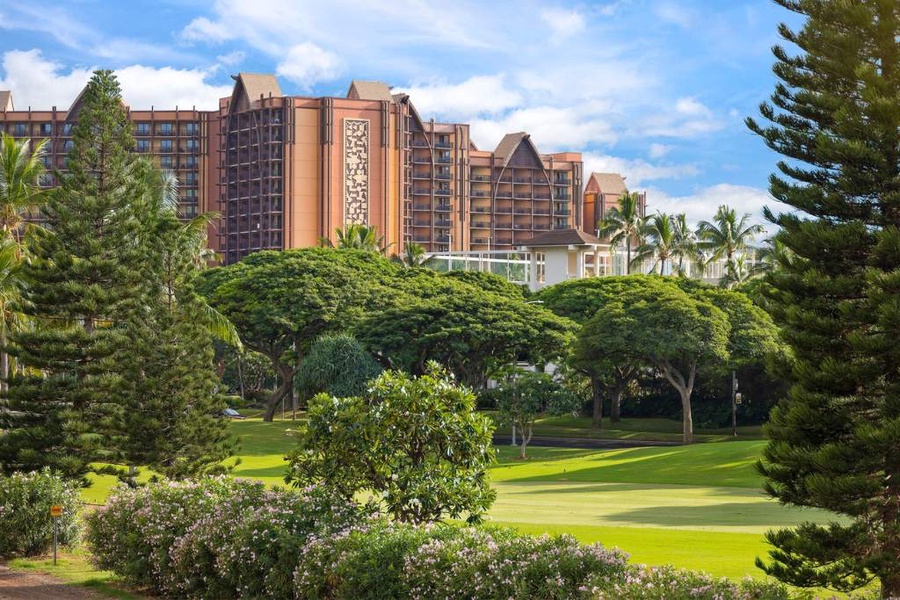 An aerial view of the lush green surroundings.