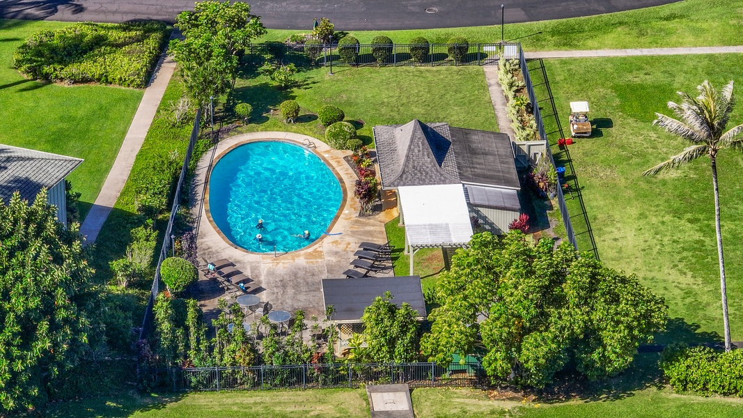 Aerial shot of the community pool.