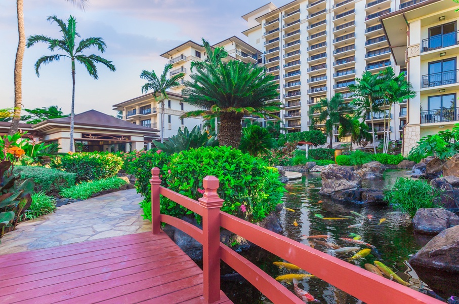 Stroll over the bridge and colorful Koi pond on the resort.