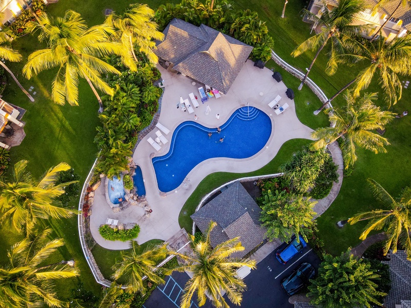 Kai Lani pool area surrounded by swaying palms.