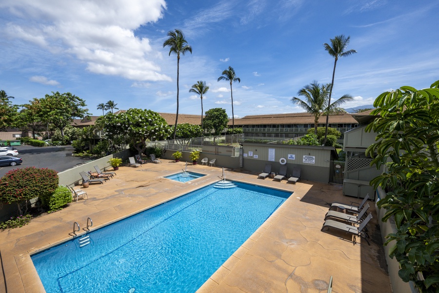 Tropical paradise pool area with swaying palms and crystal blue waters for your perfect Hawaiian getaway relaxation.