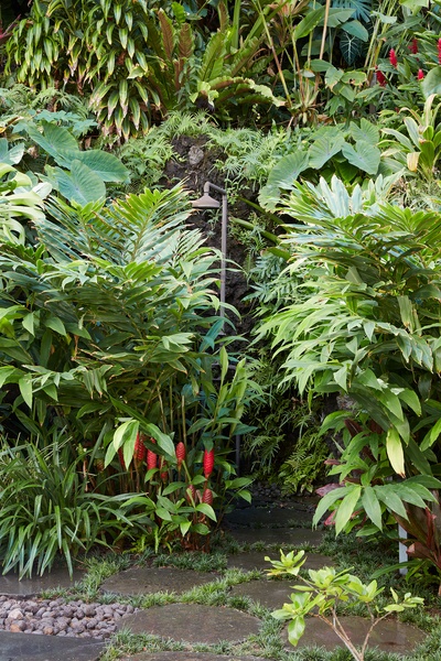Lush tropical foliage and thoughtfully curated gardens create a sense of privacy and tranquility throughout the estate.