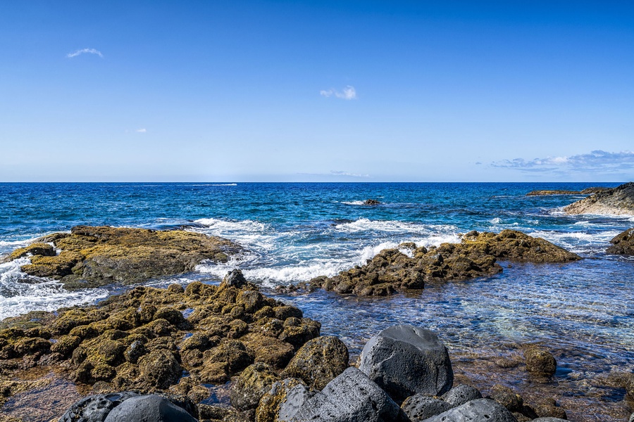 Rocky tide pools and crashing waves offer a dramatic and ever-changing coastal show.