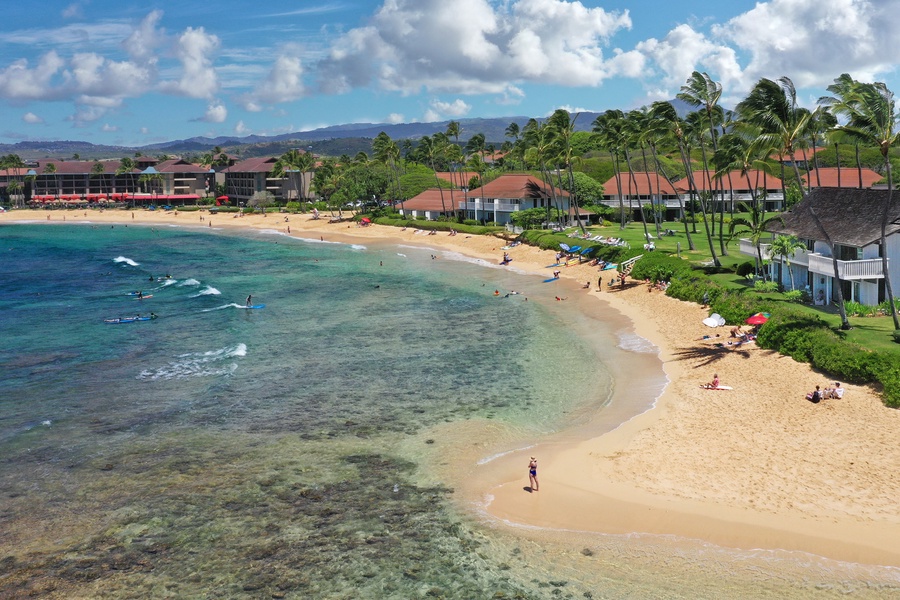 Poipu Beach is a must see beach with its clear water and white sand