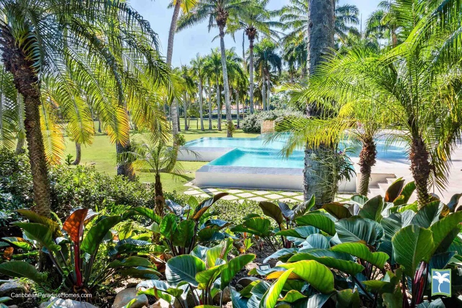 Bask in the beauty of the garden views, complete with a sparkling pool and swaying palm trees.