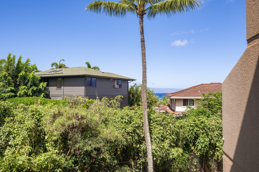 Enjoy the tropical Hawaii views!