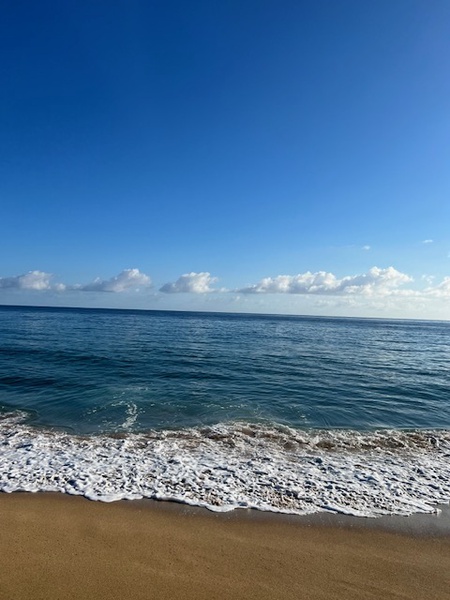 Spend the day by the ocean and enjoy the calming sound of waves along the coastline.