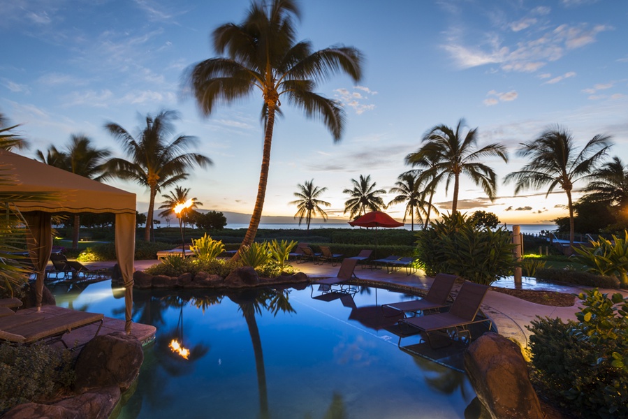 Evening reflections by the pool, surrounded by the beauty of palm trees and a serene ocean view.