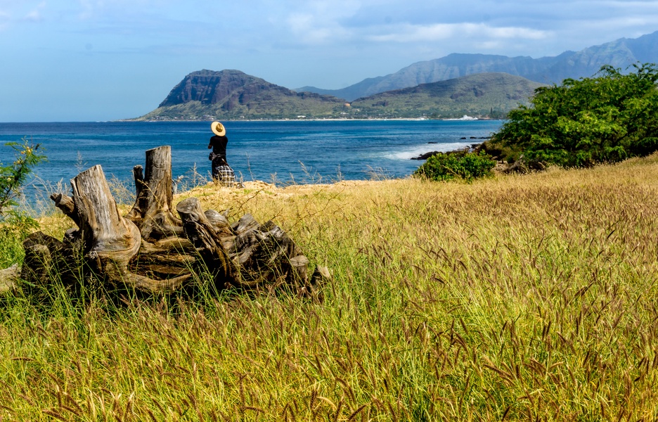 A panoramic view of the island.