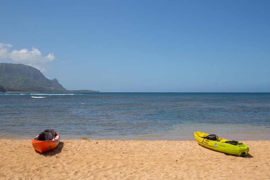 Palm-lined beach with colorful kayaks ready for adventure.