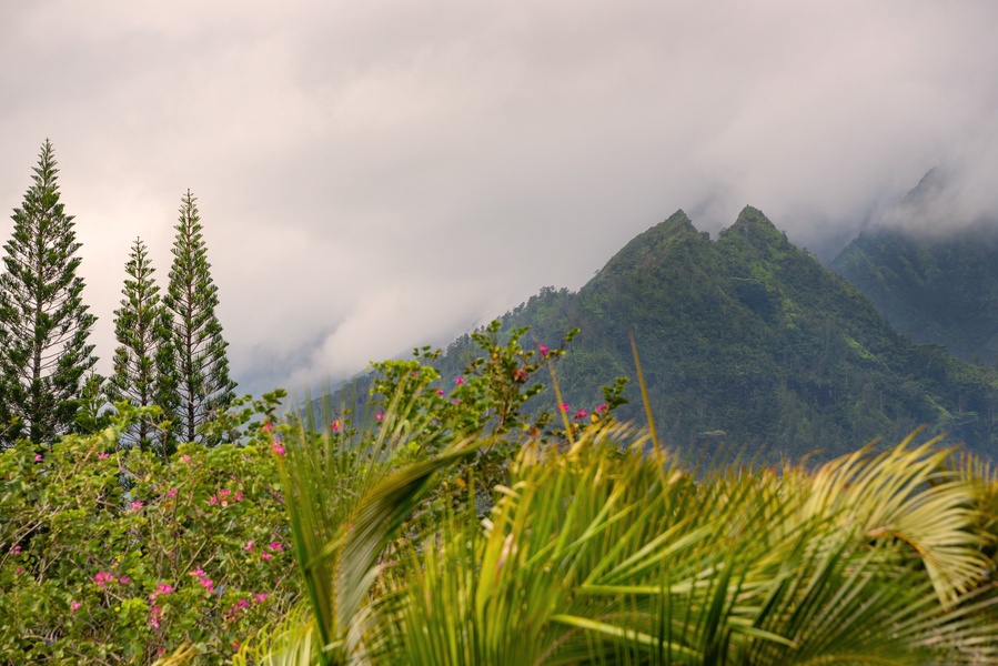 Stunning view of misty mountains framed by lush greenery.