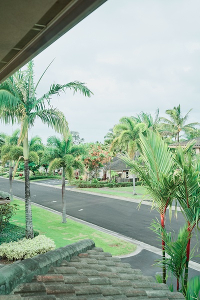 Tropical street view framed by lush palm trees and residential buildings in a peaceful neighborhood setting.