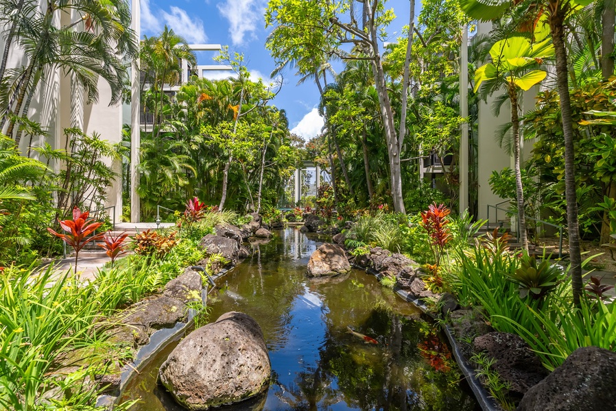 The Koi pond at the Kahala Beach.