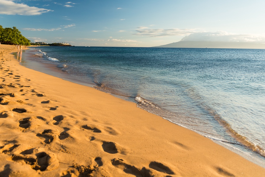 Stroll through the beach featuring the soft Golden sand shores of North Kaanapali Beach and the vibrant reef perfect for viewing coral and tropical fish right out front of the resort.