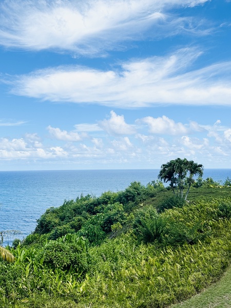 Oceanviews from Lanai