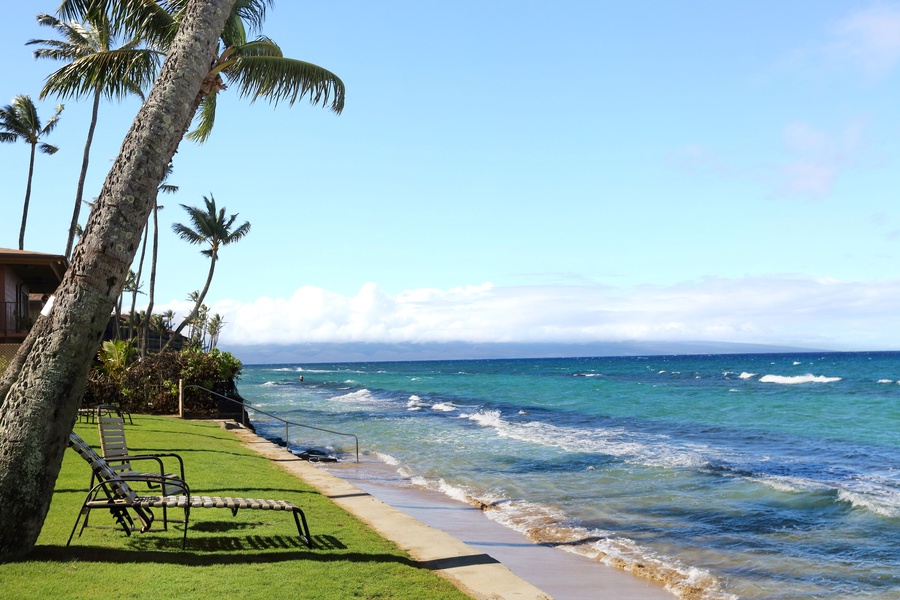 Sip your morning coffee from the grass watching turtles and waves roll in
