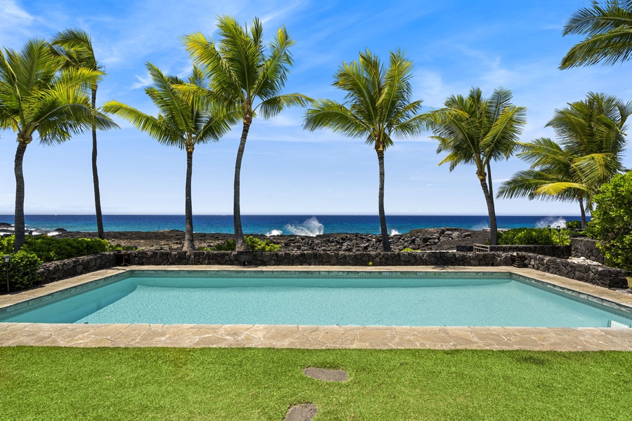 Iconic palm-lined views from the backyard are truly postcard-worthy.