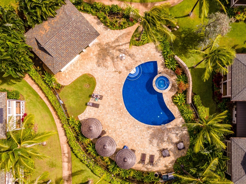 The tropical surroundings of the pool and hot tub.