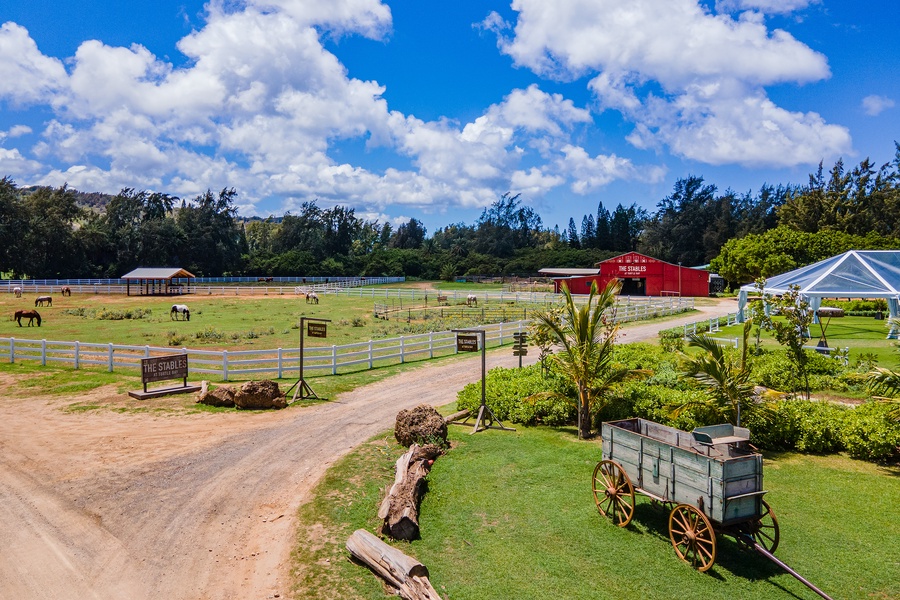 Walking access to some of Turtle Bay Resort’s amenities including the horse stables