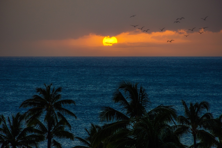The Pacific sunsets are the perfect ending to your day.