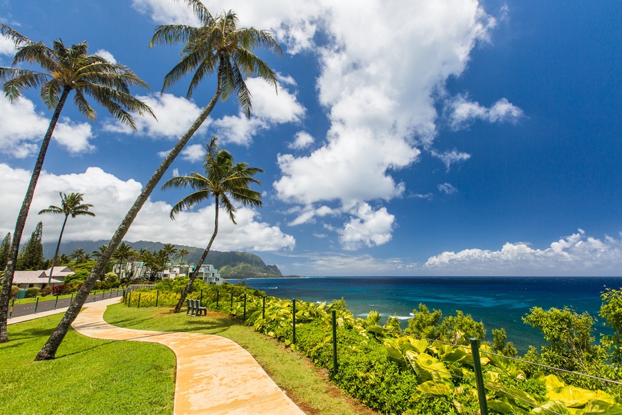 A scenic walkway with palm trees and endless ocean views.