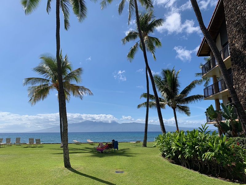 Take in the serene ocean views from this peaceful spot, shaded by swaying palm trees and surrounded by lush greenery