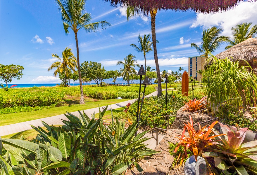 Follow the palm-lined paths that wind toward the shoreline and ocean views