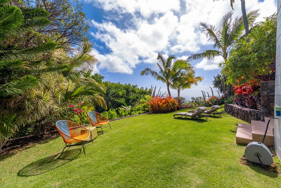 Expansive green lawn framed by palms—perfect for morning yoga or afternoon lounging.