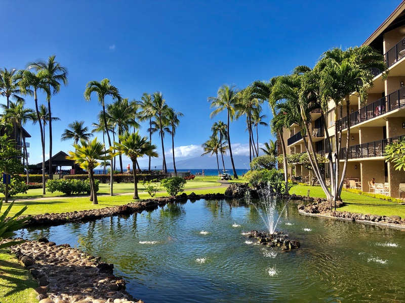 A tranquil pond with a fountain enhances the tropical ambiance of the resort, offering peaceful surroundings and ocean views in the background.