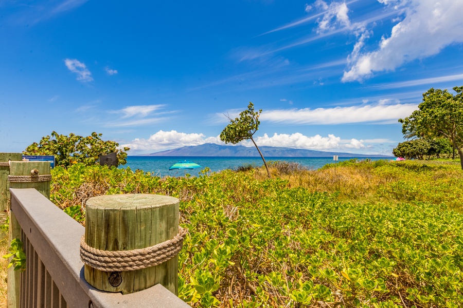 This is where island tranquility meets coastal beauty—just beyond the resort lawns
