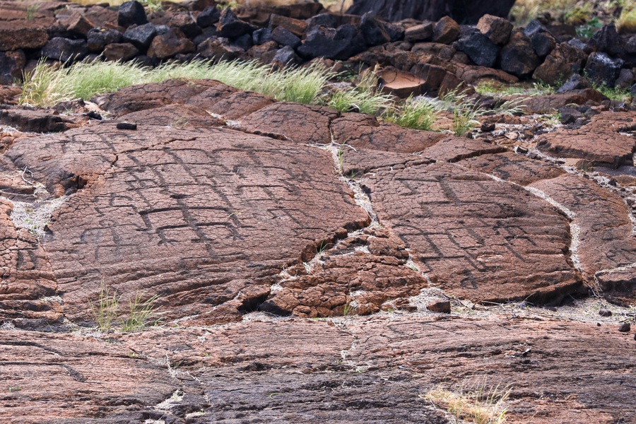 Fascinating & Ancient Petroglyphs on Nearby Trails