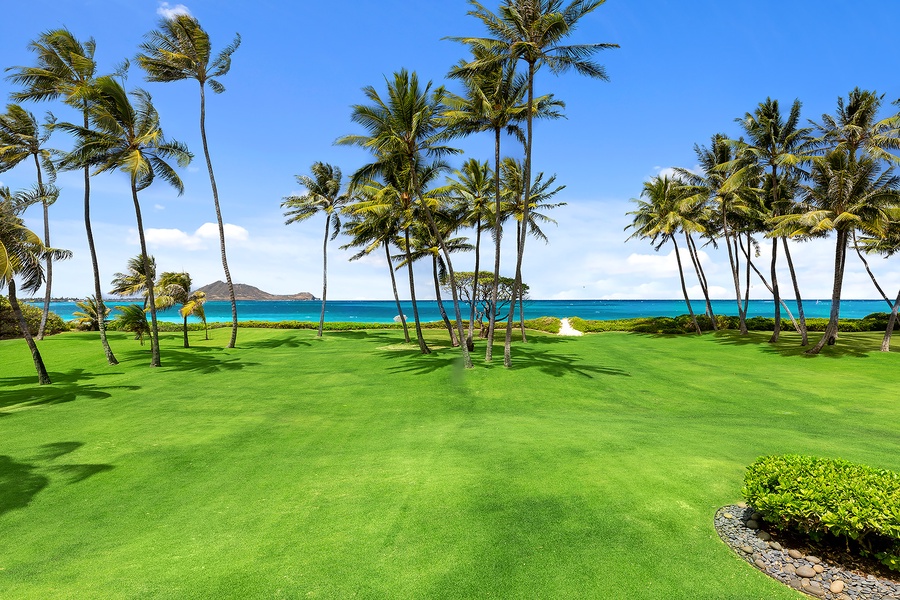 Expansive manicured lawns leading to breathtaking ocean views, perfect for outdoor relaxation.