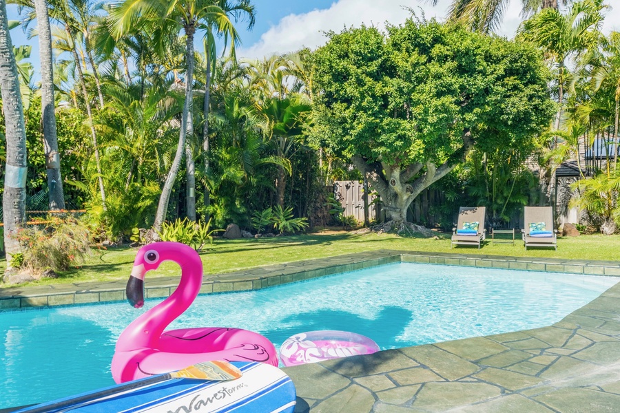 Dive into tropical bliss with sun-kissed pool days and playful flamingo floats amidst lush greenery.