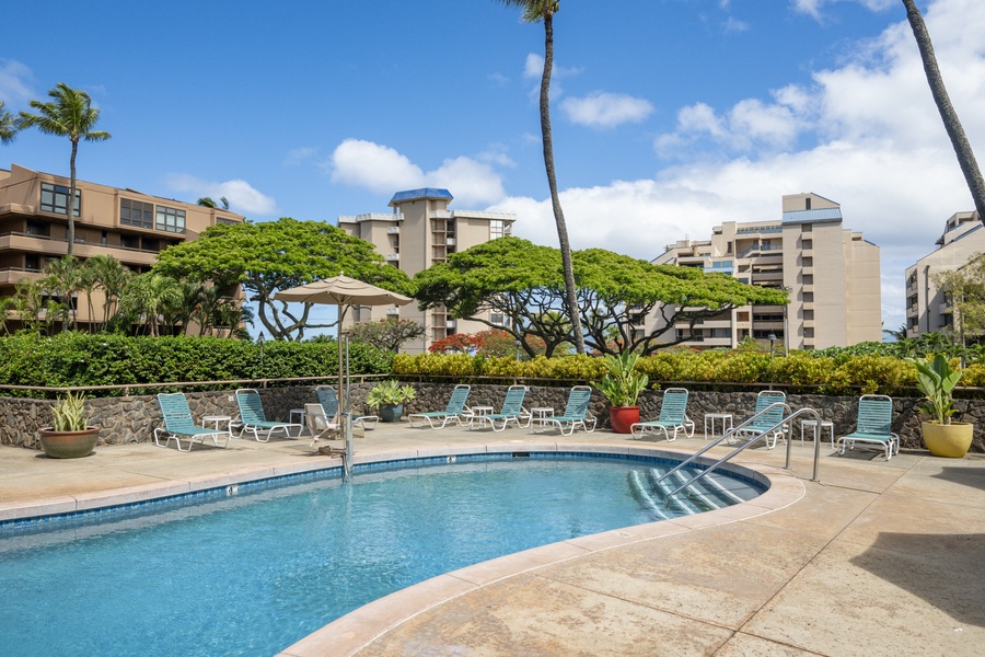 Lounge poolside with a cool drink!