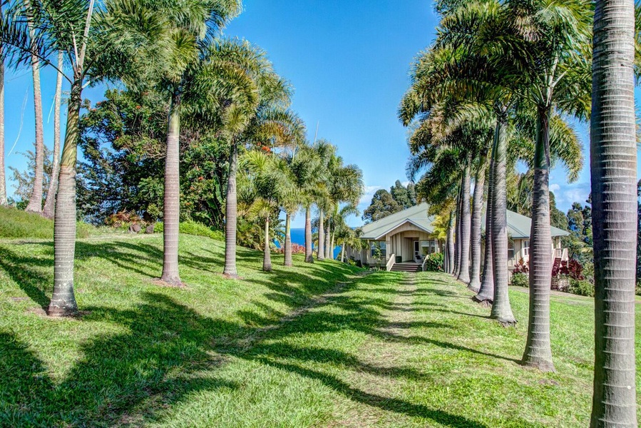 Palm lined driveway, E Komo Mai!