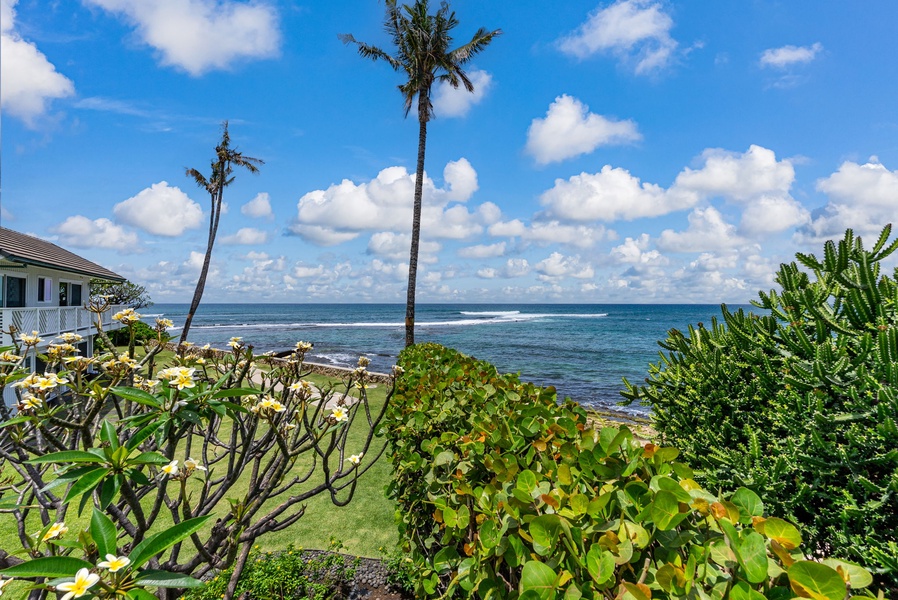 Oceanfront property featuring tropical landscaping with palm trees and flowering plants overlooking pristine blue waters.