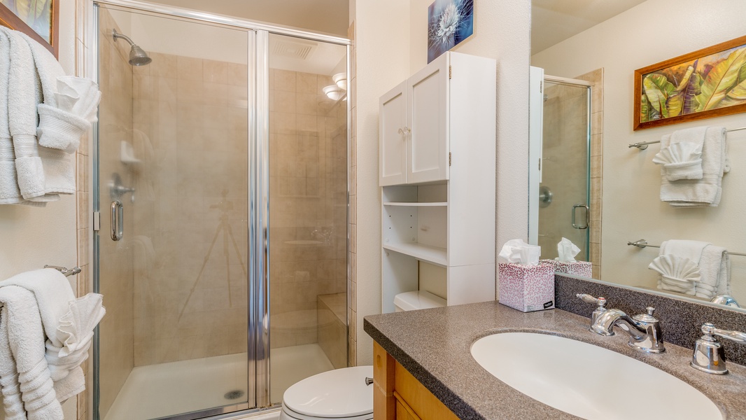 Ensuite bathroom with a single vanity and a walk-in shower.