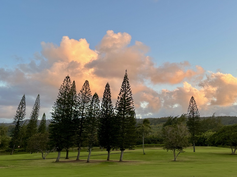 Sunset across the golf course and tropical pines.